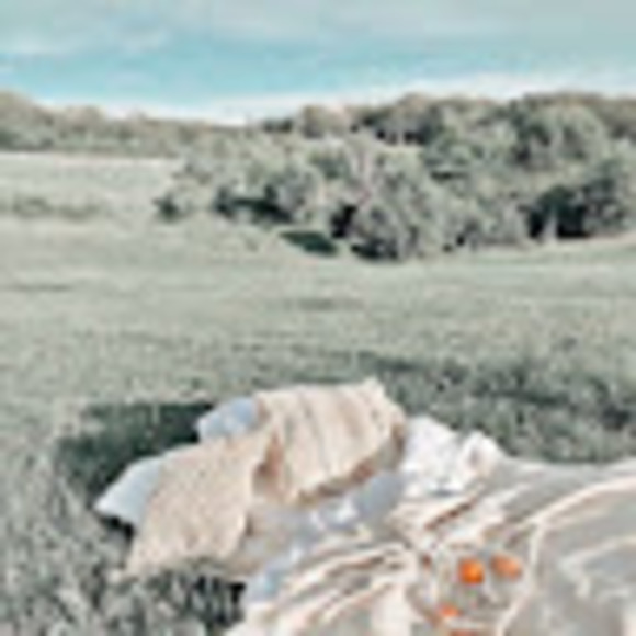 Meet your Posher, Olivia - Picture 1 of 1